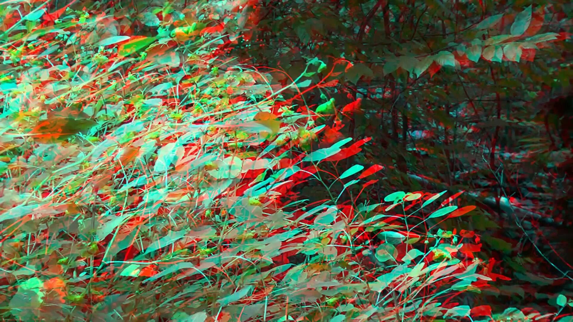 3 д фото. Анаглифные 3d очки анаглифные. Анаглиф Red-Cyan. 3d anaglyph Red/Cyan. Анаглиф акула.
