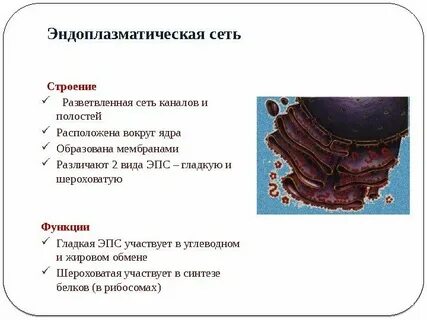 Эпс участвует