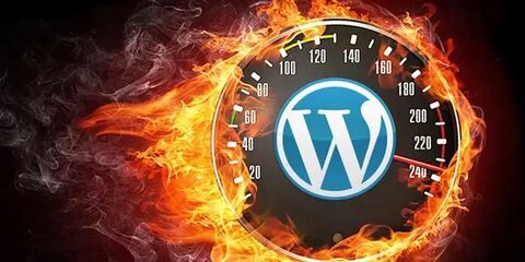 Wp optimize
