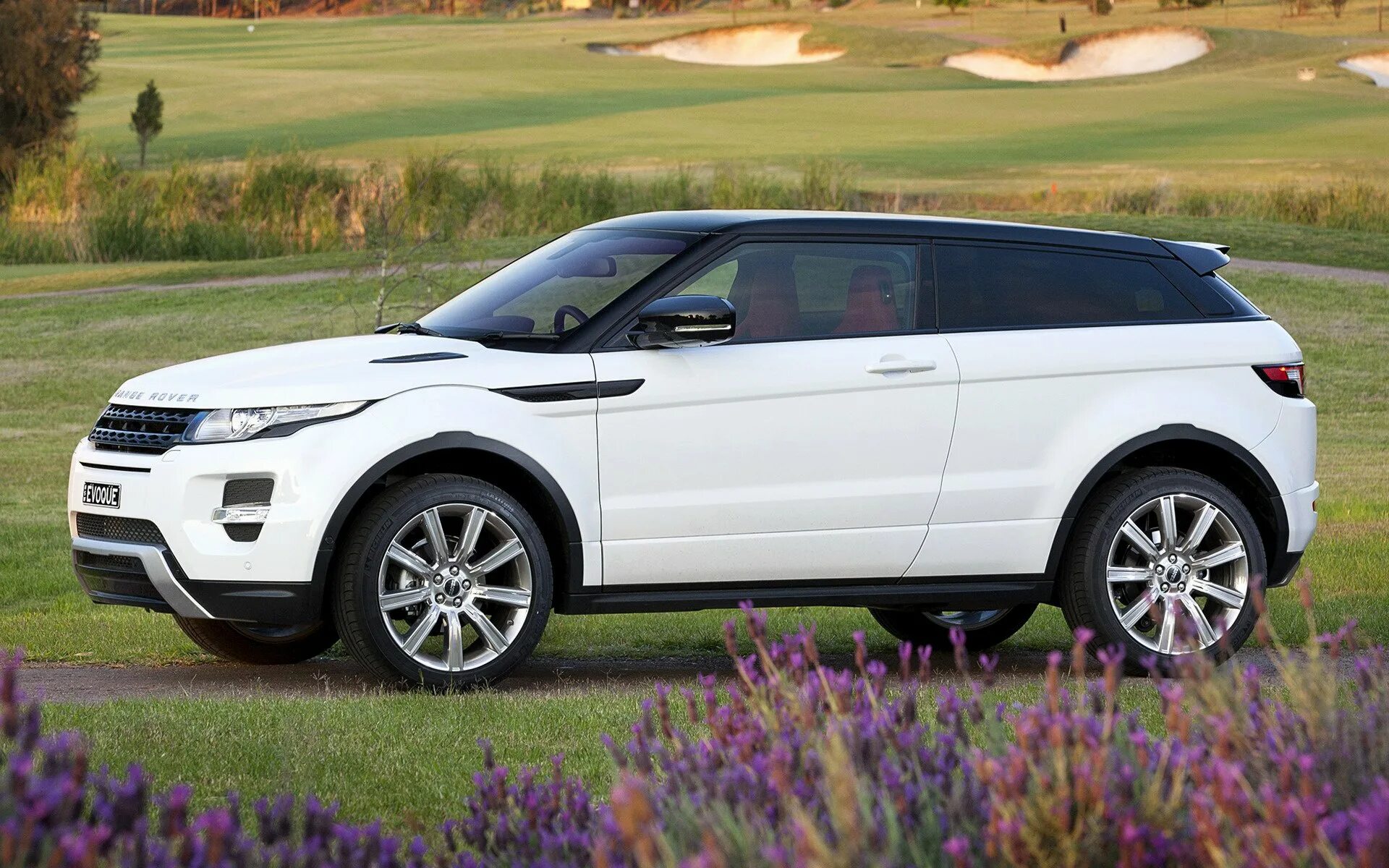 Ленд ровер эвок. Range rover evoque red. Авто ровер эвок. Land rover range rover evoque 2015. Land rover range rover evoque белый.