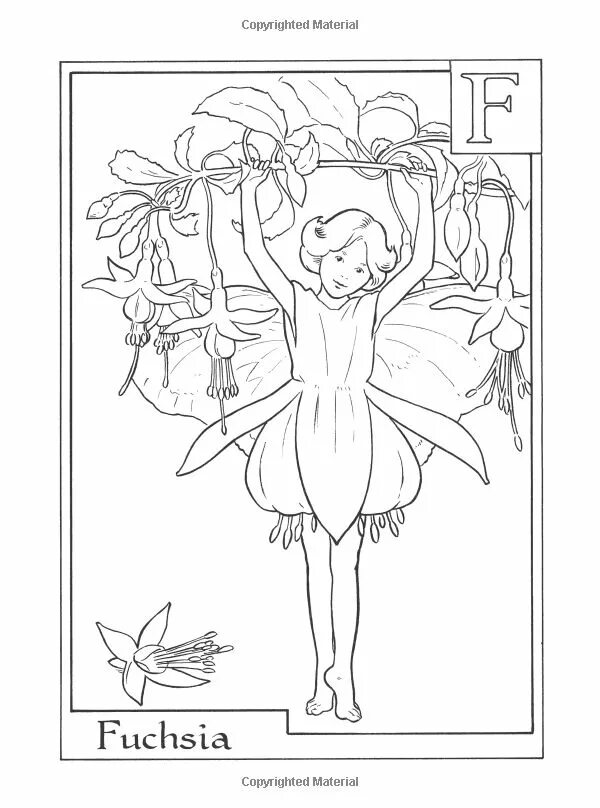 Color fairy
