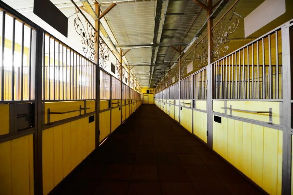 Шкаф амуничник. Грин хорс конюшня симферопольское шоссе. Антей конюшня. Антей конюшня. Кск конкорд денники.