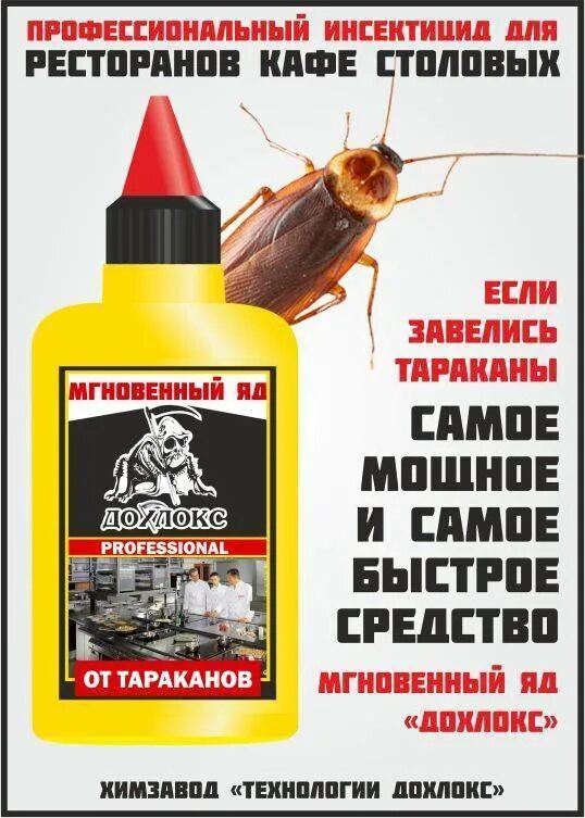 Избавиться от тараканов в квартире навсегда. Средство от избавления тараканов. избавление от тараканов. мощное средство от тараканов в квартире. как избавиться от тараканов в квартире.