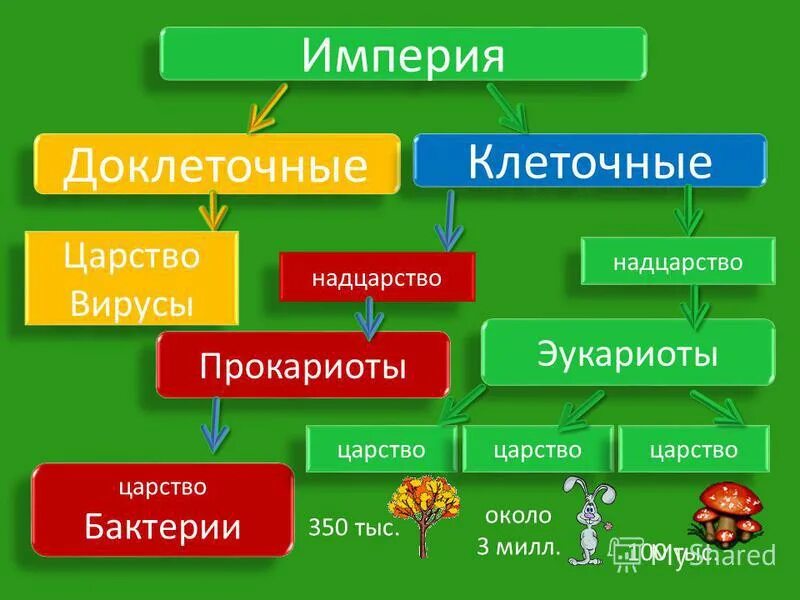 Классификация растений и животных 5 класс. Биология Империя Надцарство царство. Империя эукариоты прокариоты. Империя: клеточные. Надцарство: прокариоты. Царство. Империя доклеточные.