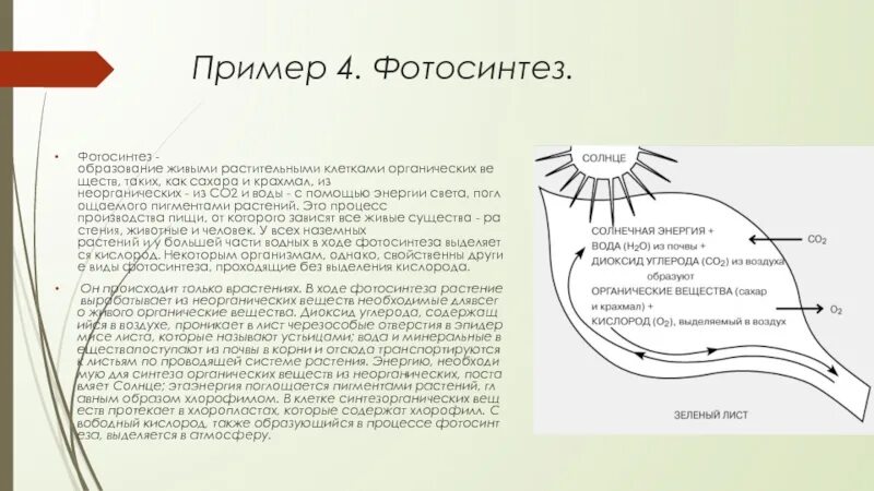 Фотосинтез рисунок. Схема процесса фотосинтеза. Процесс фотосинтеза рисунок 6 класс. Фотосинтез крахмал. Схема процесса фотосинтеза.