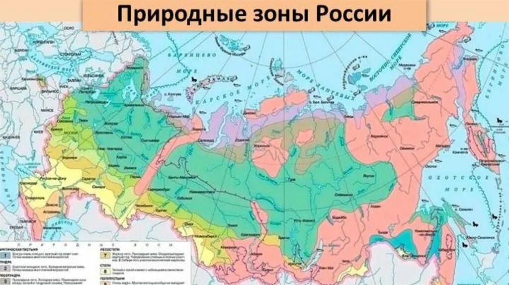 Природные зоны центра россии