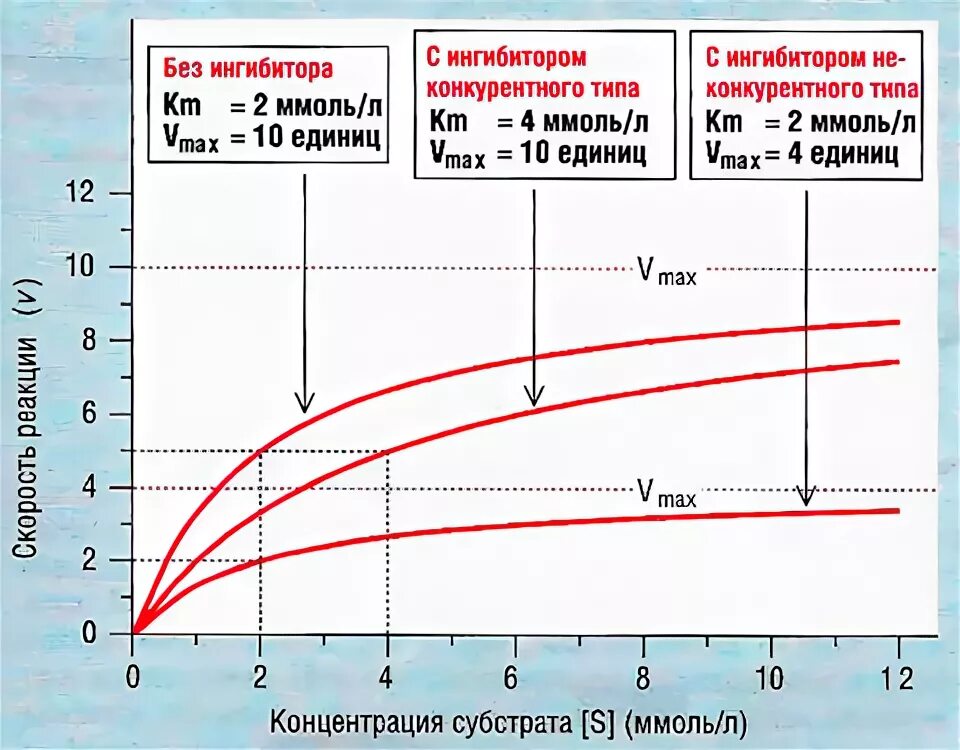 Без ингибитора