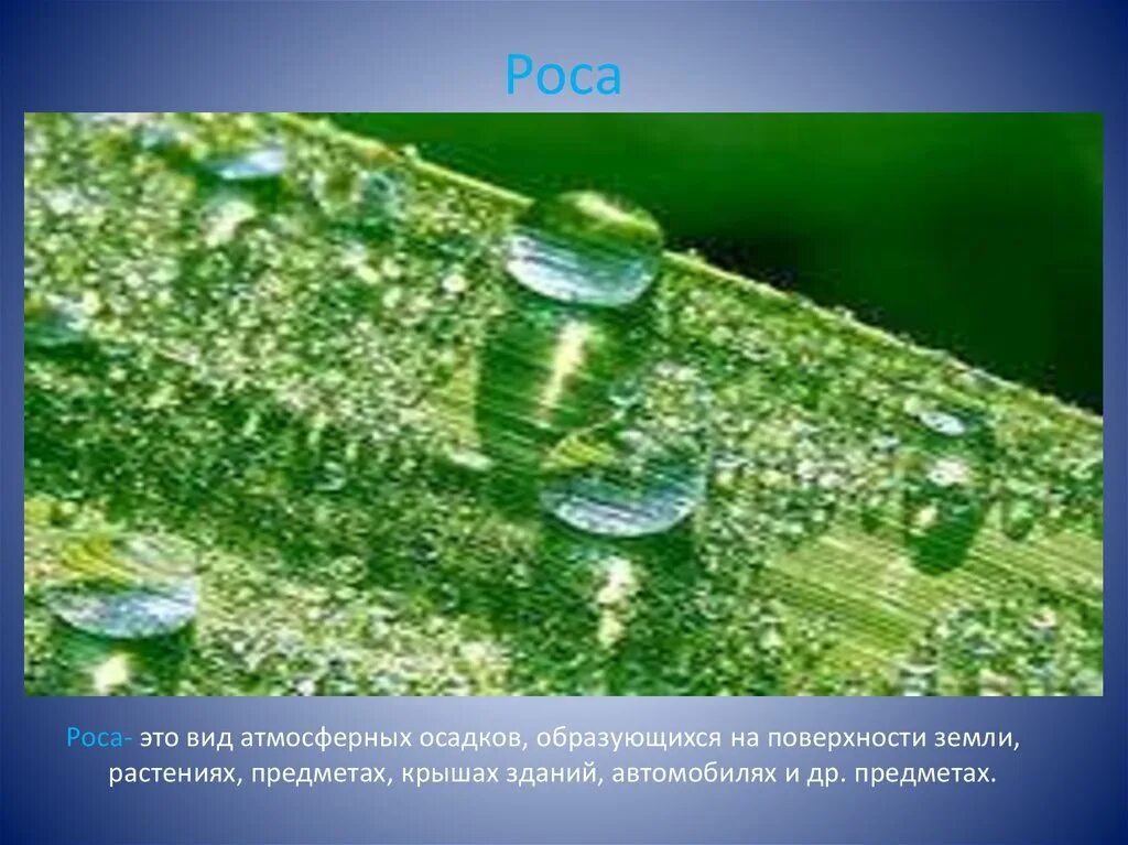 Вода в природе презентация. Виды атмосферных осадков. Роса осадки. Осадки, образующиеся на поверхности земли и на предметах.