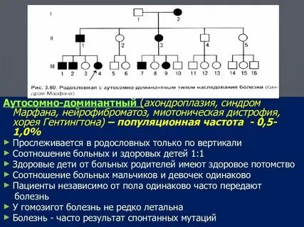 Моногенные аутосомно доминантные