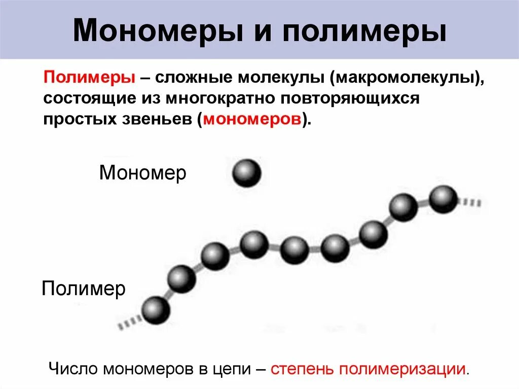 Соединение молекул мономера. Схема строения мономеров и полимеров. Полимеры и мономеры таблица. Органические мономеры и полимеры. Полимеры биополимеры мономеры 10 класс.