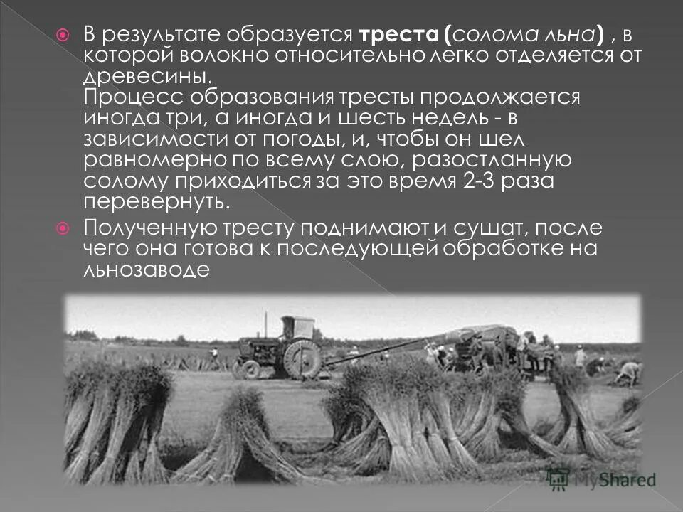 Которое появляется в результате их