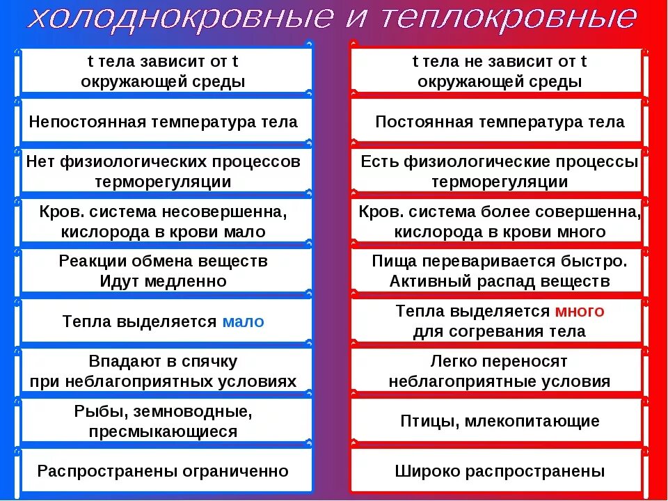 Какие признаки отличаются. Непостоянная температура тела. Постоянная и непостоянная температура тела у животных. Зависимость температуры тела от температуры окружающей среды. Сходства и различия теплокровных.