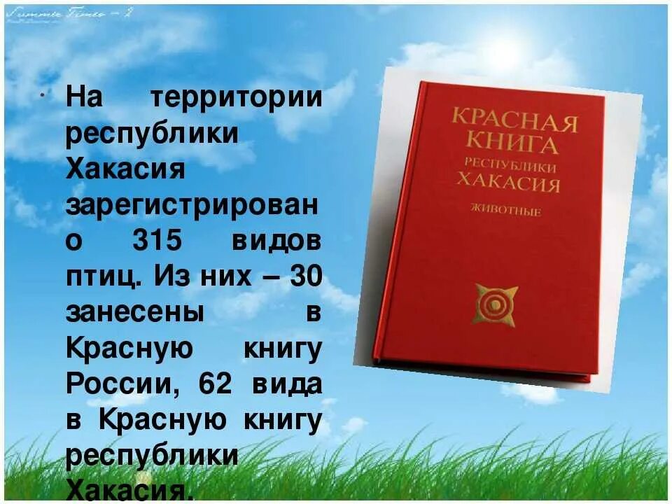 Красная книга. Красная книга Хакасии. Красная книга России. Животные красной книги Хакасии.