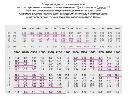 Отливы приливы в петропавловске камчатском авачинская бухта