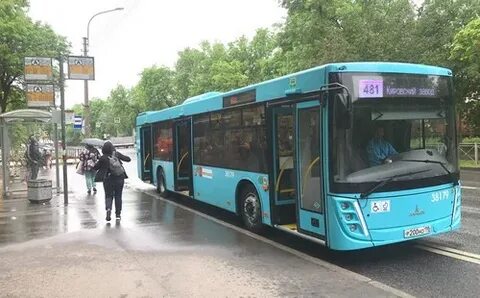 Маршрут 484 автобуса спб