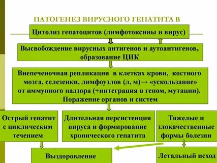 Основные патогенетические механизмы