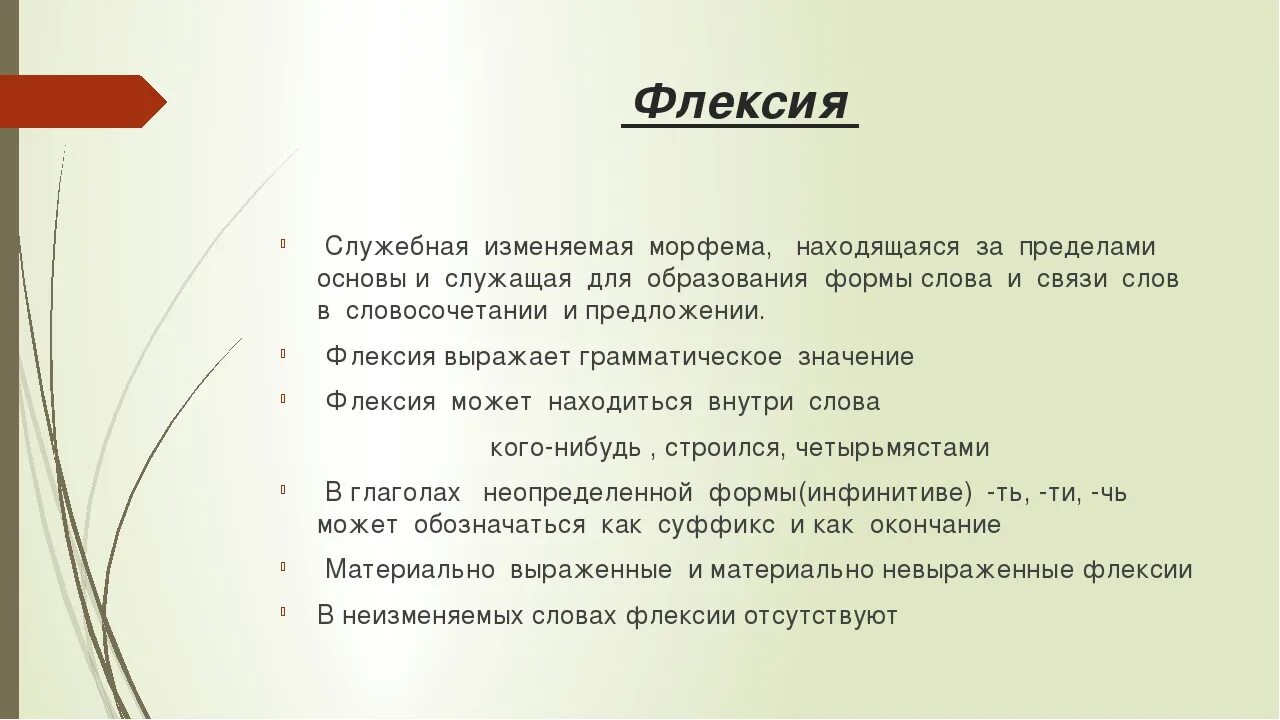 Значение слова конца. Флексия. Флексия это в языкознании. Флексия это в русском языке примеры. Положение флексии.