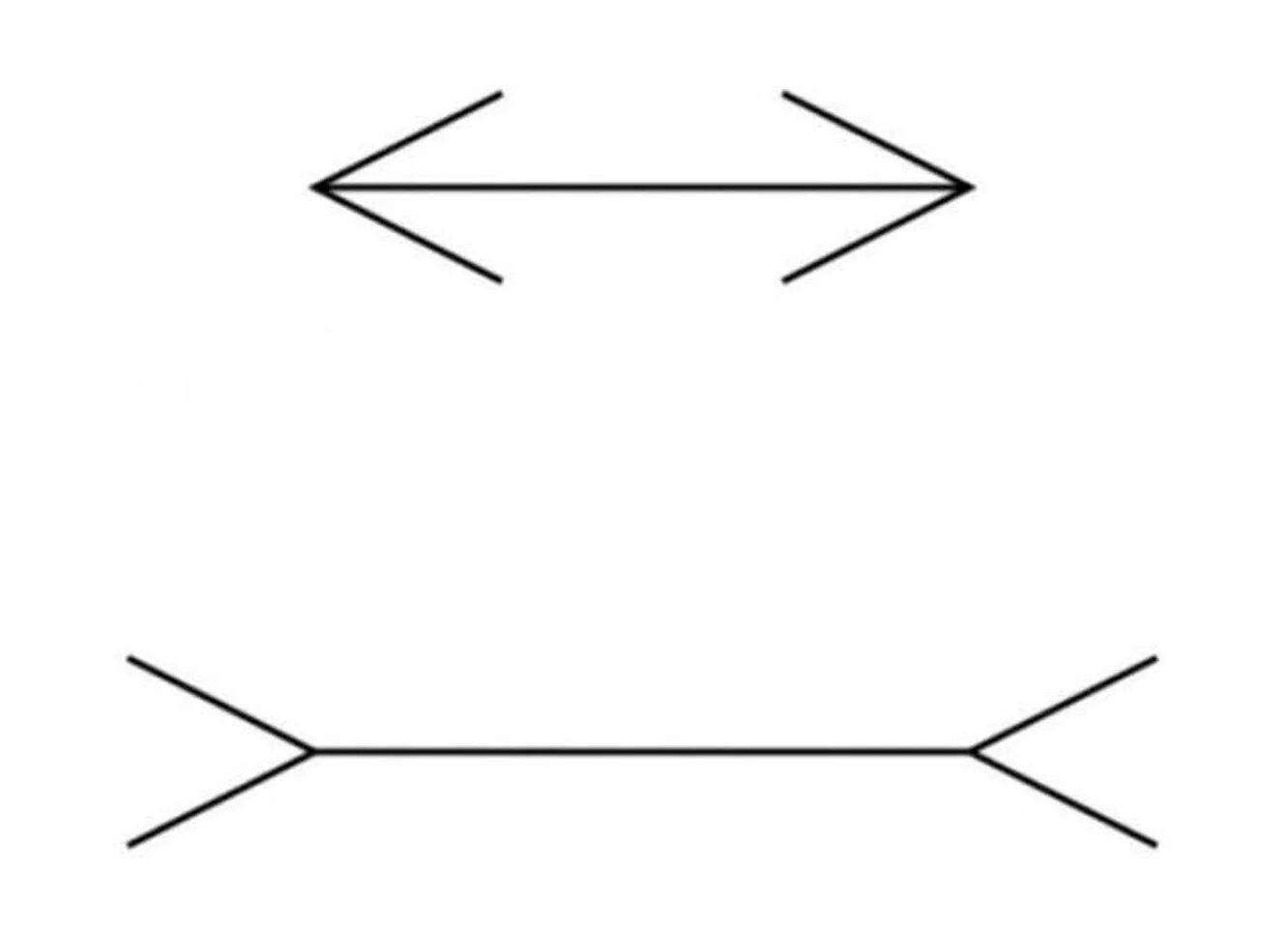 Какая линия имеет наибольшую. Оптическая иллюзия Мюллера-Лайера. Иллюзия восприятия размера Мюллера лай. Иллюзия восприятия оптико Геометрическая. Иллюзия линии.