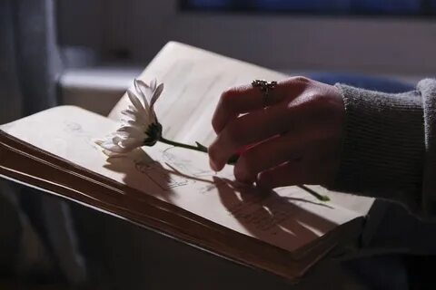 Поэзия современной жизни