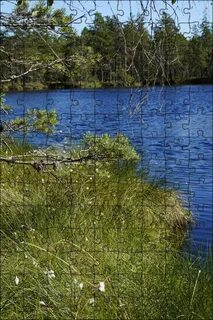 Водный заповедник