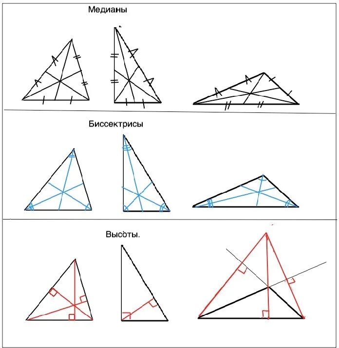 Построение высоты в остроугольном тупоугольном прямоугольном треугольнике. Остроугольный треугольник Медиана биссектриса и высота. Медианы остроугольного тупоугольного и прямоугольного треугольника. Медиана остроугольного треугольника. Медианы треугольника остроугольника.