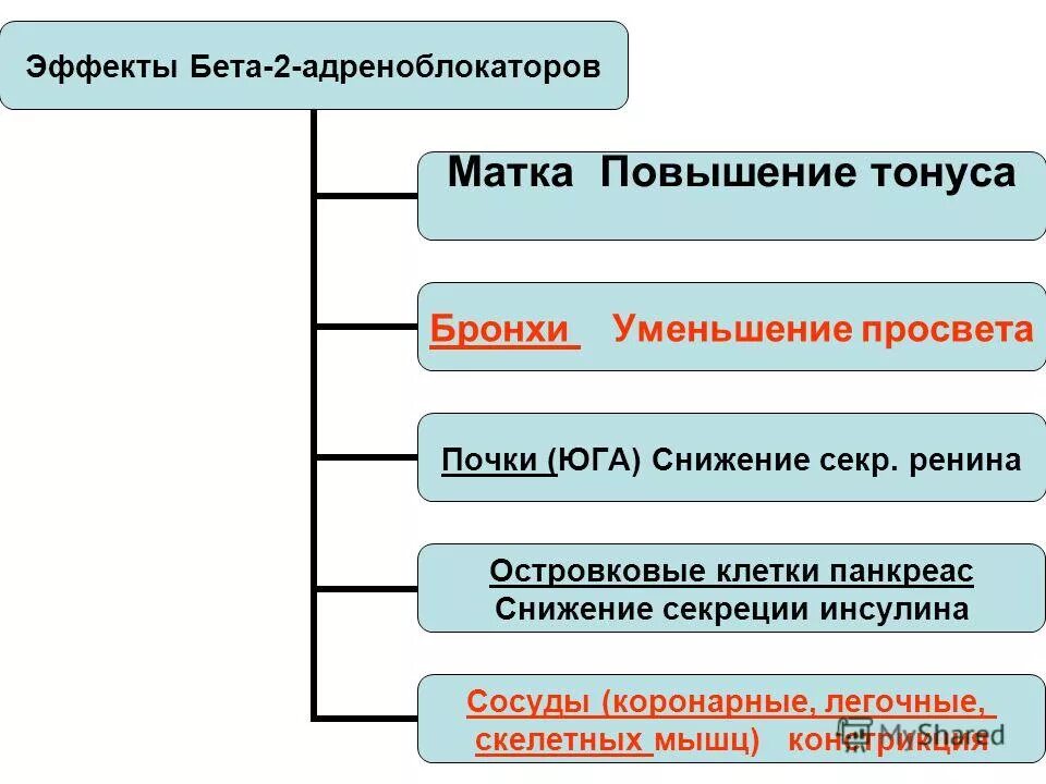 Багря 2 ые