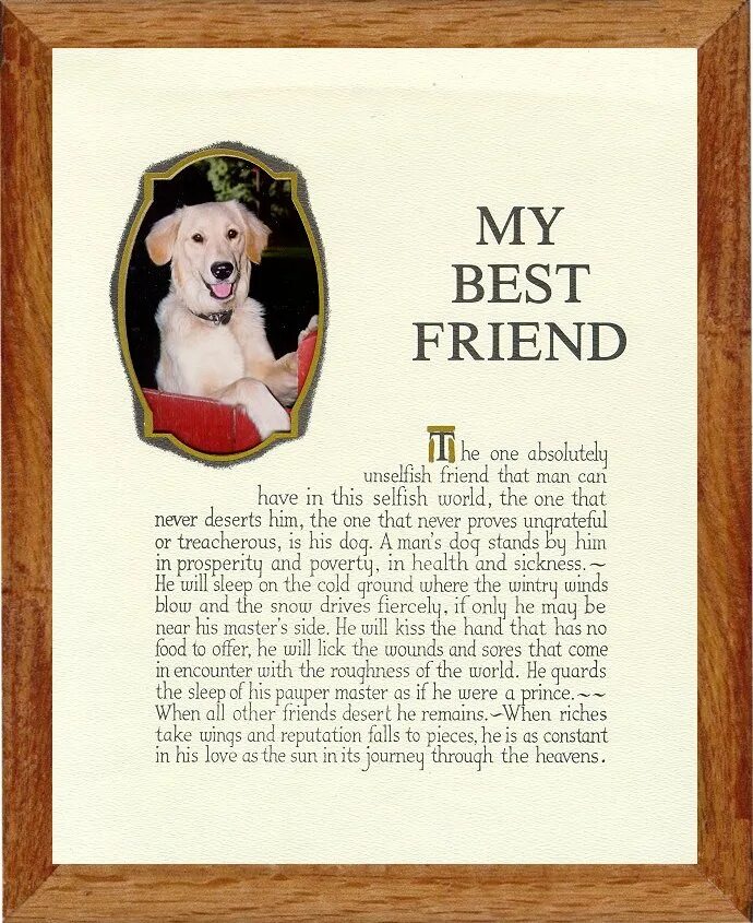 Keeping pets перевод. My Dog poem. Best friend Dog. My best friend is my Dog poem written. Enormous, Shaggy, friendly and Waggy Pet poems for children.