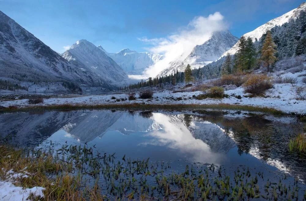 Климат алтайских гор. Алтай природно климатическая зона. Гора белуха. Алтайский край. Рельеф горного алтая.