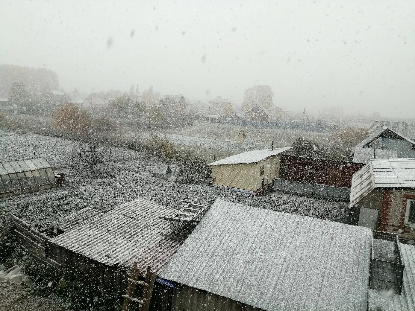 Первый снег в Тюмени. Первый снег 2022. Первый снег в Тюмени 2021 год. В Тюмени выпал снег.
