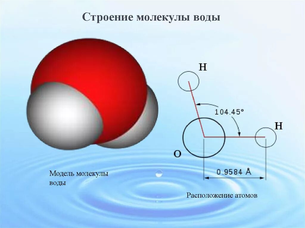 Показать молекулу воды