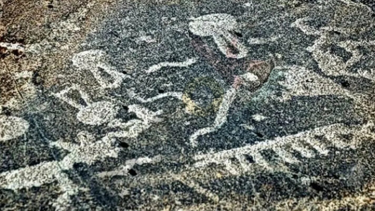 Какая птица изображена на петроглифах