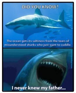 Ocean get