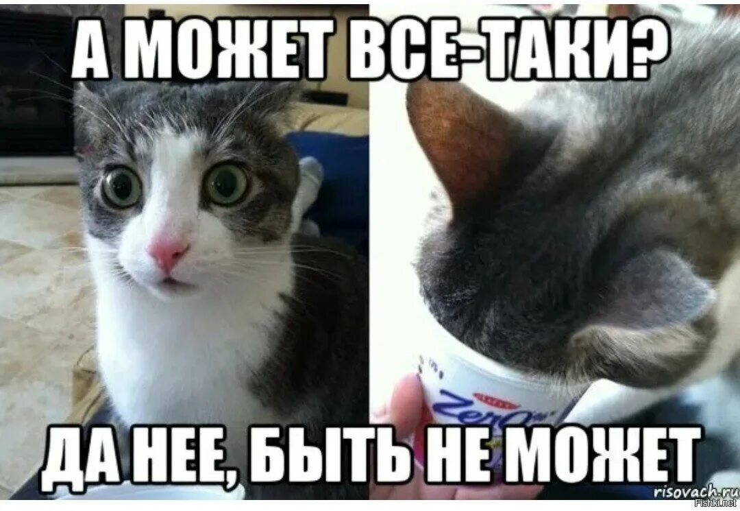 Может было может нет. Да нет бред. кот мем да нет не может быть. да ну не может быть. да не бред какой.