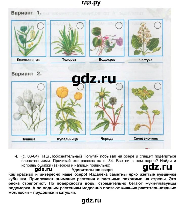 Окружающий мир рабочая тетрадь стр 83. Окружающий мир 4 класс рабочая тетрадь 1 часть страница 83. Окружающий мир рабочая тетрадь 1 часть жизнь Луга. Тест луга 4 класс