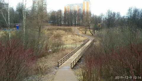 Бирюлево ступино