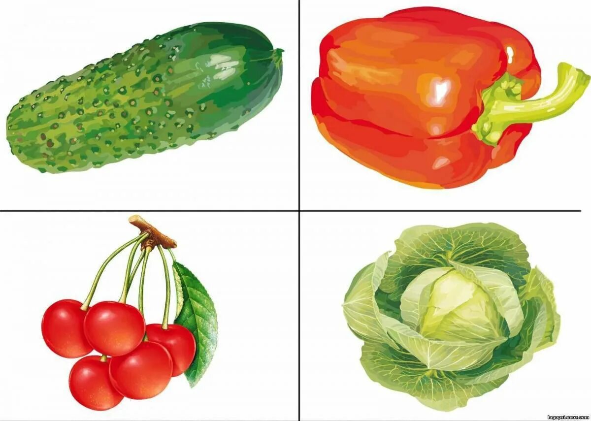 Игра 2 овощи. Овощи для детского сада. Карточки с изображением овощей. Фрукты для детского сада. Карточки овощи для детей.