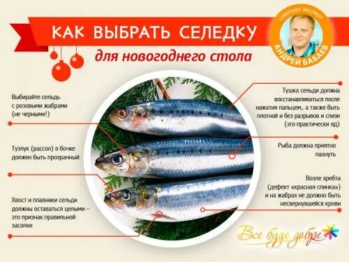 Как определить селедку с икрой. Сельдь самка. как распознать селедку. как выбрать селедку. как отличить сельдь.