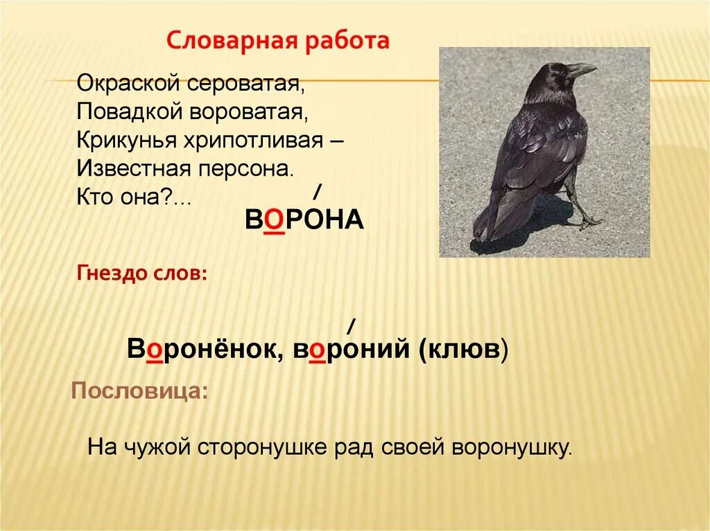 Ворона 3 буквы. Словарная работа ворона. Работа со словарным словом ворона. Работа со словарным словом ворона 1 класс. Предложение о вороне.