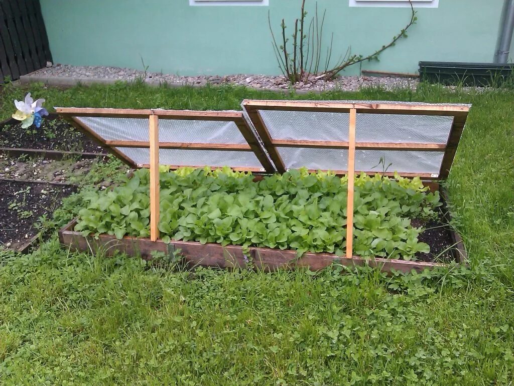 Мимо грядок