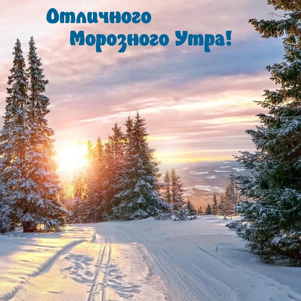 Морозным утренним днем. Доброе зимнее утро. с добрым морозным утром. чудесного зимнего дня. зимнее утро картинки.