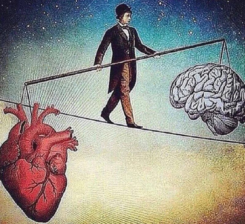 Мозг и сердце. Ум и сердце. Борьба разума и чувств. Балансировать между разумом и сердцем.