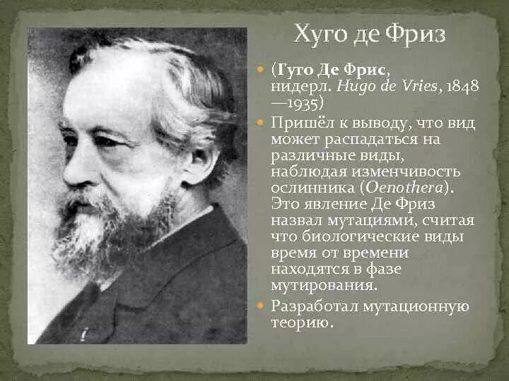 Г фриза. Гуго де фриз вклад в биологию. Ученый г де фриз. Демфриз вклад в биологию. Хуго де фриз нидерландский биолог.