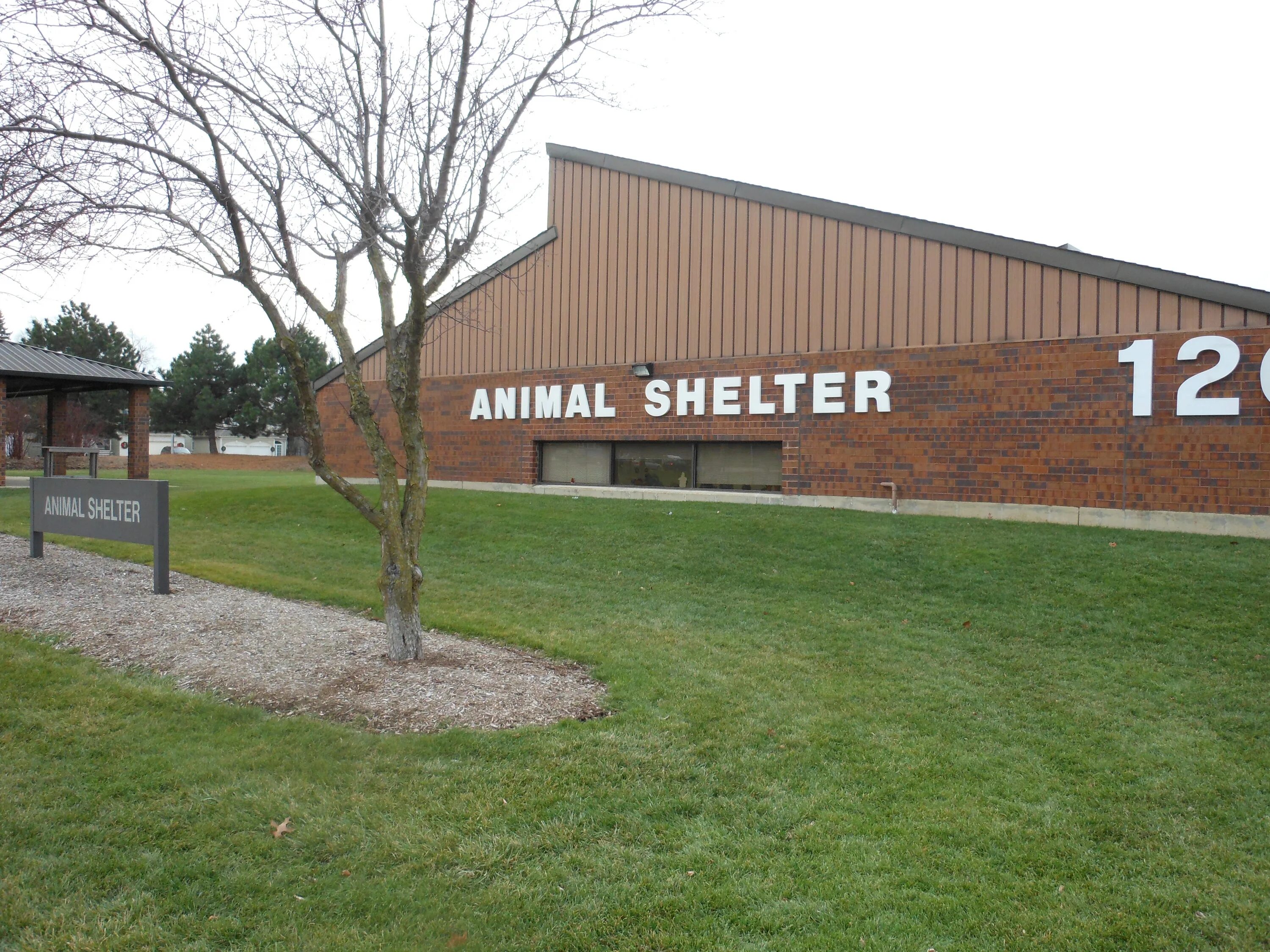 Animal Shelter building. West place animal Shelter. Dakin animal Shelter Springfield Massachusetts. General Plan animal Shelter. Animal shelter natural choice