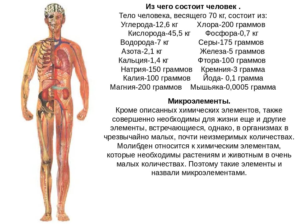 Их в организме человека. Из каких веществ состоит организм человека. Из чего состоит человек химический состав. Химический состав человеческих органов. Из чего состоит человек.