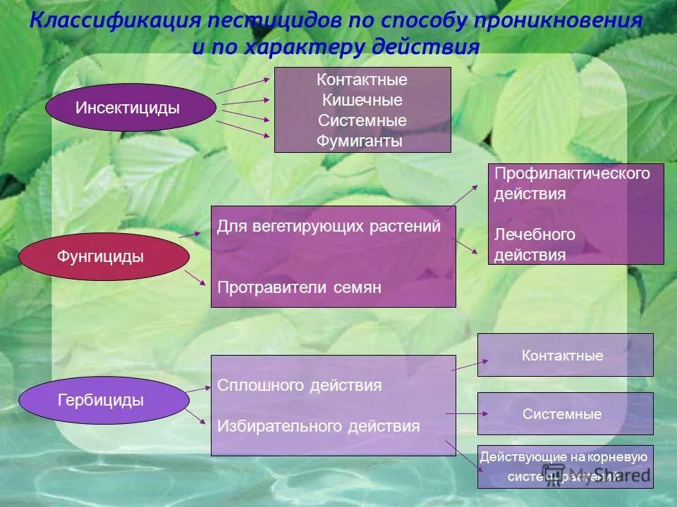 контактные датчики схема. химические аспекты токсикологии. цели биохимической токсикологии. пути проникновения пестицидов в организм. цели профилактической и промышленной токсикологии.