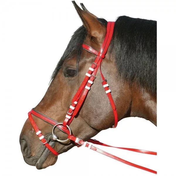 сколько уздечек. недоуздок фуганза. узда недоуздок. капсюль конный спорт. сколько уздечек.