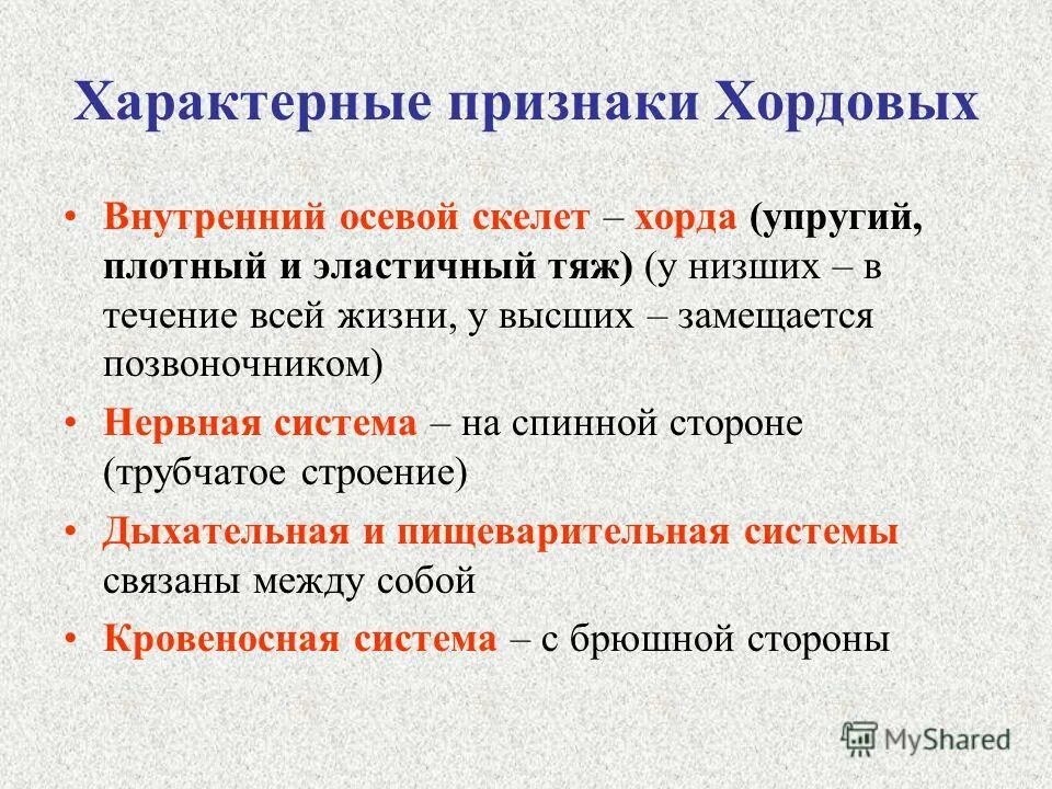 Наличие хорды у человека. Назовите основные признаки хордовых;. Каковы отличительные признаки хордовых животных?. Признаки характерные ходовых. Признаки типа Хордовые.