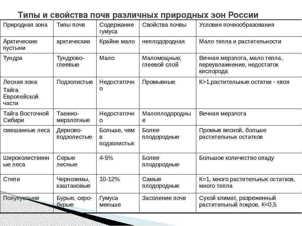 Почвы соответствие природной зоне. Характеристика типов почв России таблица 8 класс. Характеристика типов почв России таблица 8 класс география. Природная зона Тип почвы характеристика почвы таблица. Типы почв и их характеристика таблица.