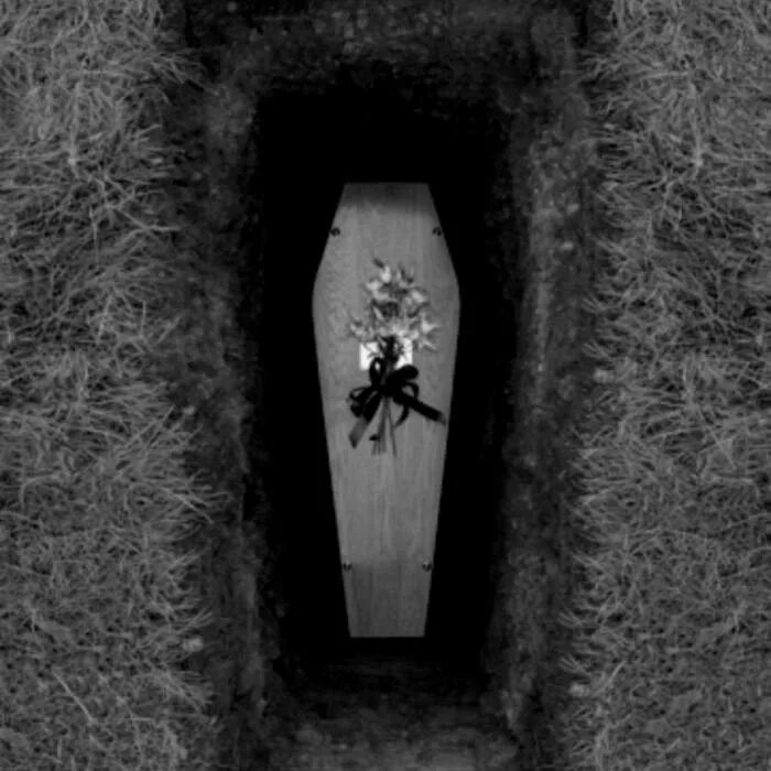 Гроб на колесиках. Гроб на колесиках страшилка. Страшные истории гроб на колесиках. Страшная история на ночь гроб. Гробик на колесиках.