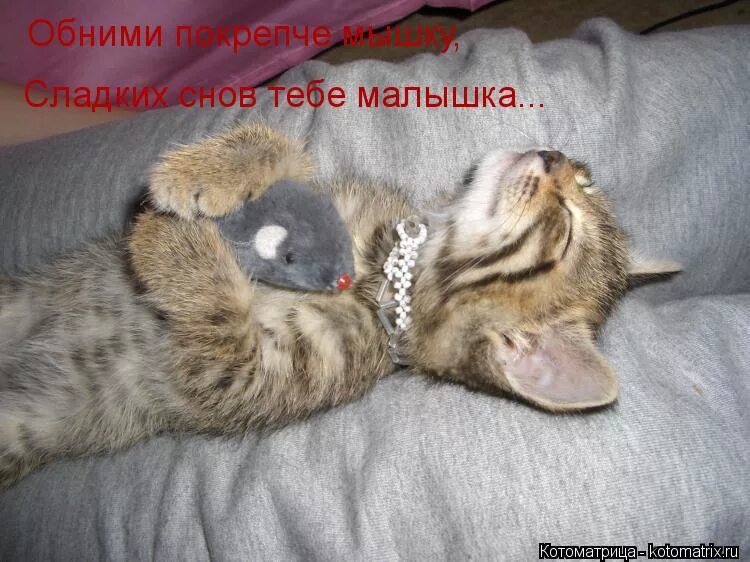Обнимаю сладко. Сладких снов мышка. сладких снов обнимаю. спокойной ночи мышонок. сладких снов обнимашки.